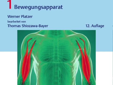 Anatomie Physiologie Pathologie