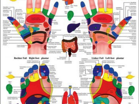 Hand und Fuß