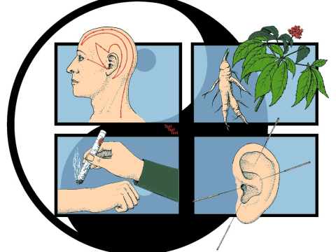 Chinesische Medizin