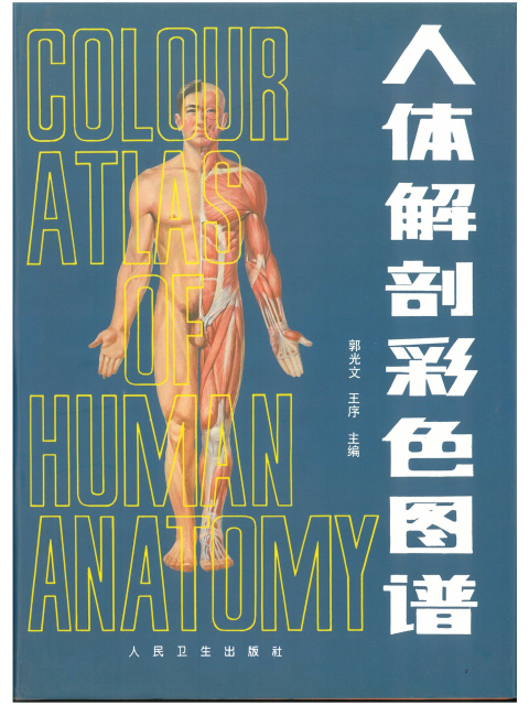 Colour Atlas of Human Anatomy. Chinese-English