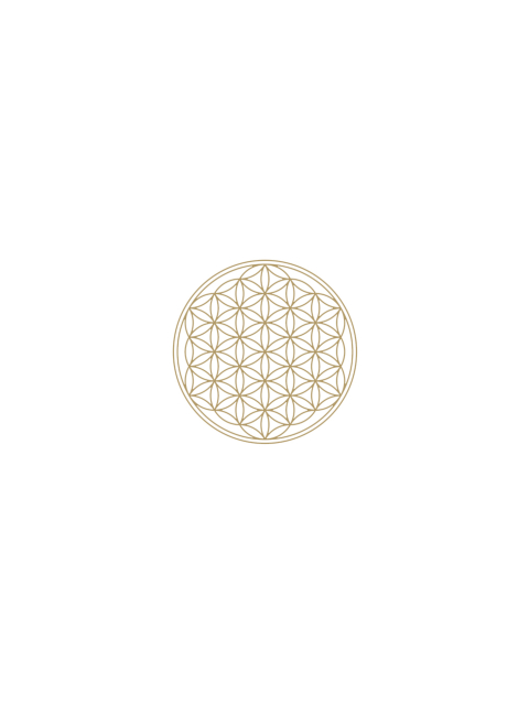 Blume des Lebens gold 30mm