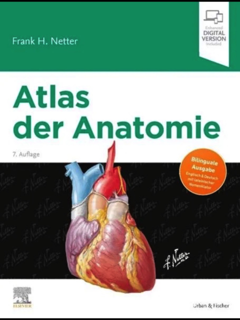 Atlas der Anatomie 7te Auflage