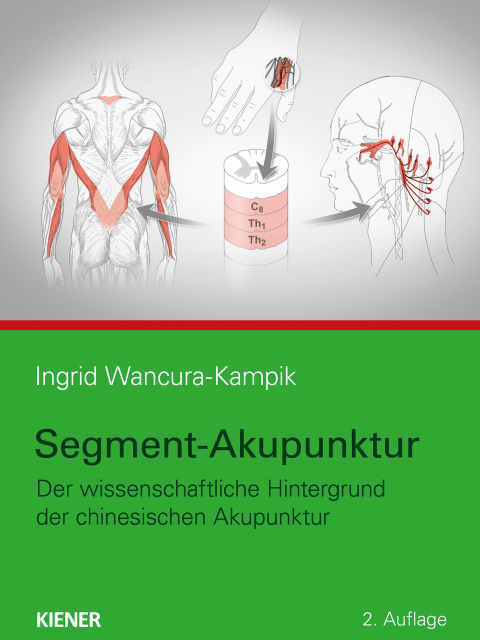 Segment-Akupunktur