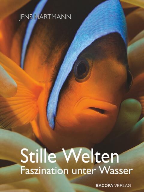 Stille Welten