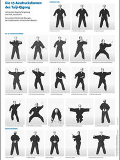 Die 15 Ausdrucksformen des Taiji Qigong Poster