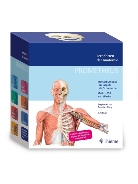 PROMETHEUS LernKarten der Anatomie