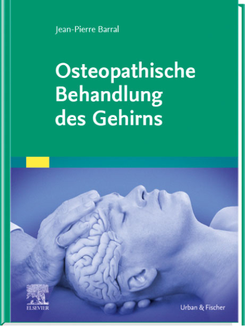 Osteopathische Behandlung des Gehirns