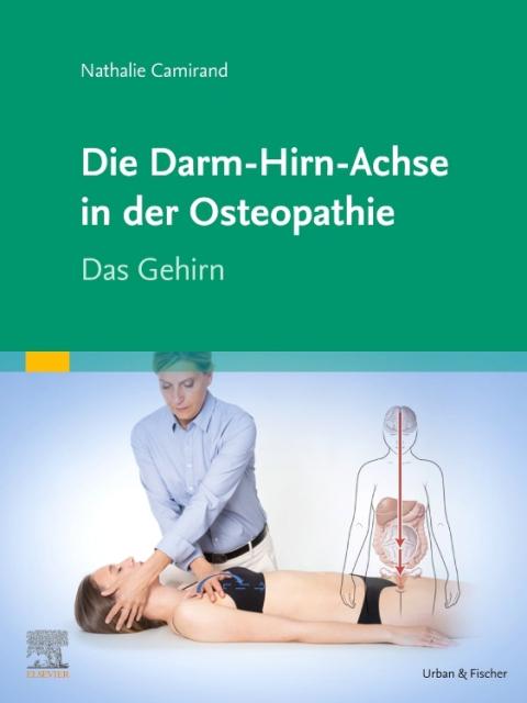 Die Darm - Hirn - Achse in der Osteopathie. Das Gehirn