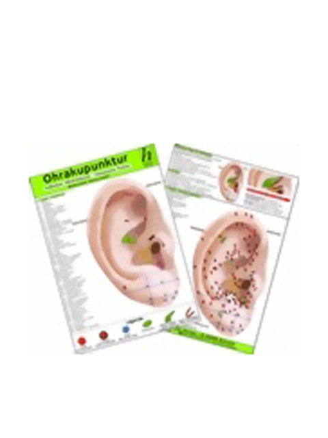 Ohrakupunktur - Indikation Parotitis - chinesische Ohrakupunktur