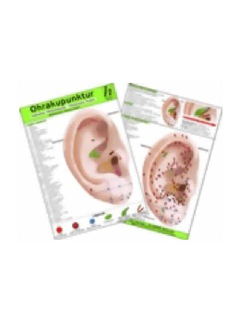 Ohrakupunktur - Indikation Bronchitis - chinesische Ohrakupunktur / Medizinische Taschen-Karte