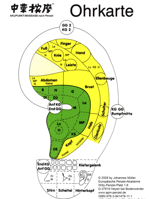 Akupunkt-Massage nach Penzel, Ohrkarte