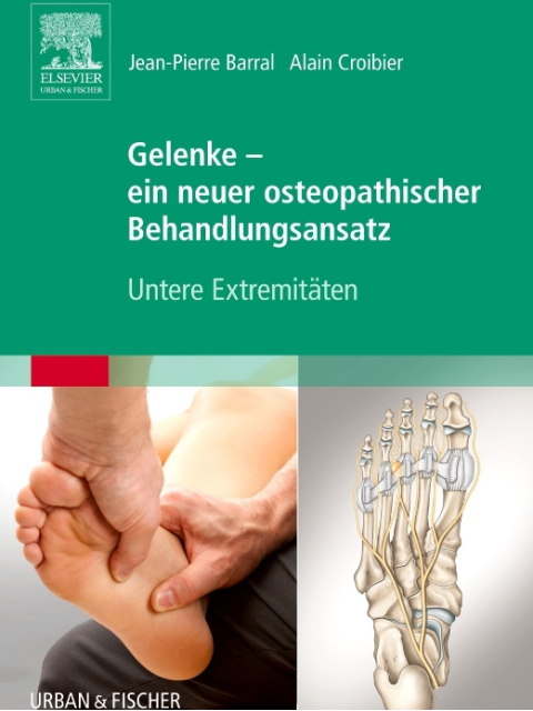 Gelenke - ein neuer osteopathischer Behandlungsansatz