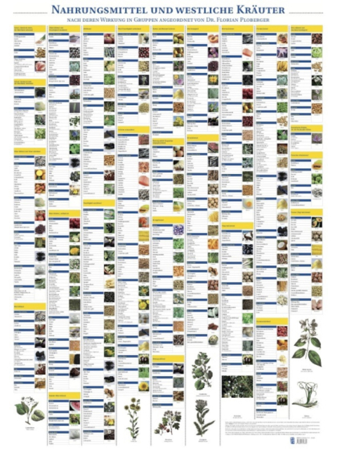 Plakat Nahrungsmittel und Westliche Kräuter mit 224 Abbildungen, ca. 70 x 100 cm inkl. Postklemmschiene und zwei Hängern