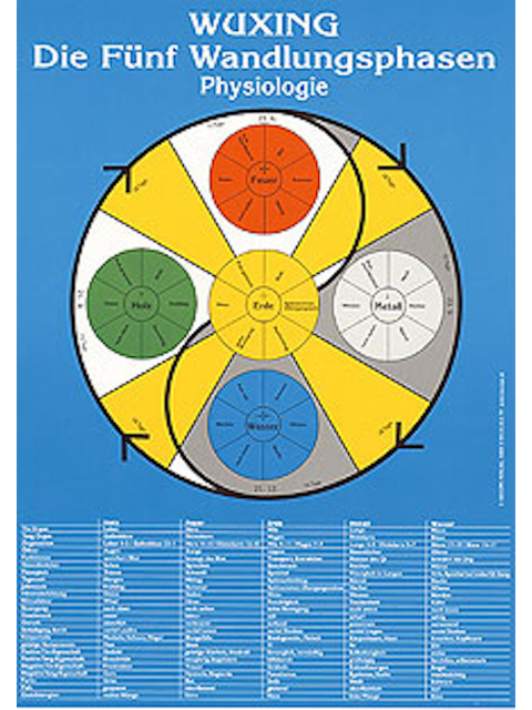 Lehrtafel Physiologie, Wuxing Die Fünf Wandlungsphasen Poster