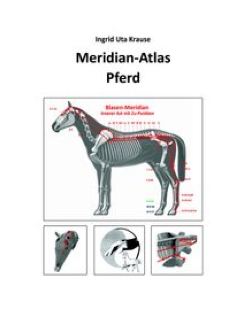 Meridian-Atlas Pferd