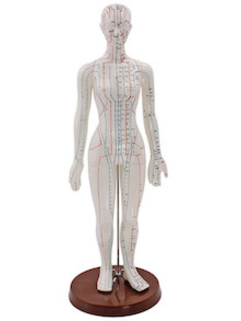 Weibliche Akupunkturfigur, ca. 48 cm