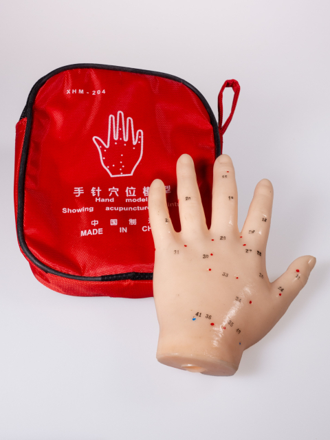 Akupunktur-Hand, ca.14 cm. Acupuncture Hand Model