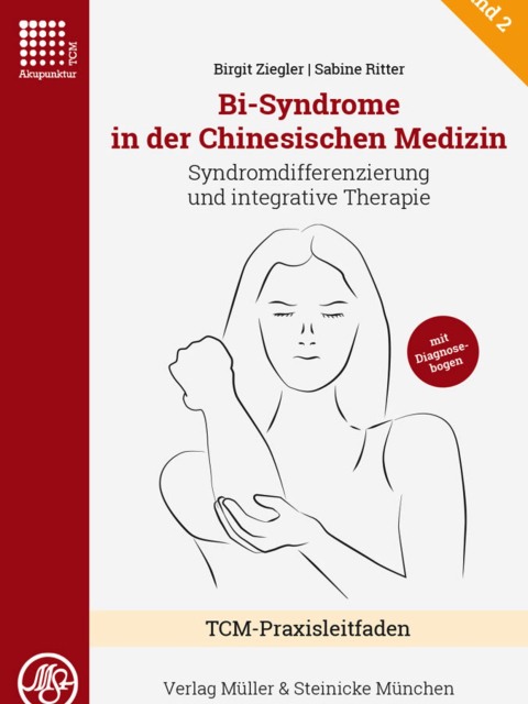 Bi-Syndrome in der Chinesischen Medizin. Syndromdifferenzierung und integrative Therapie