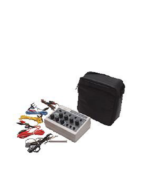 Model AWQ -104L Digital Electronic Acupunctoscope