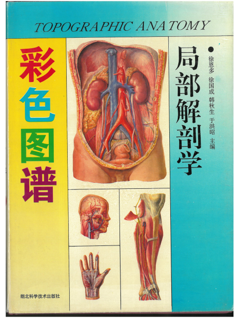 Topographic anatomy (Chinesisch/Englisch)