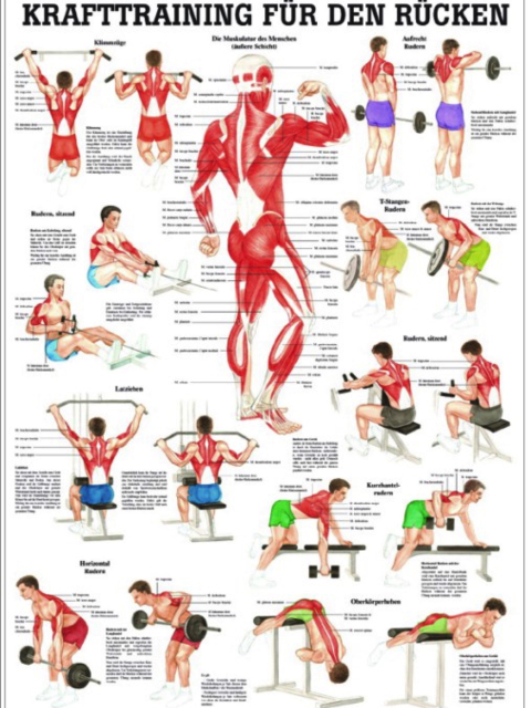 Krafttraining für den Rücken, 24x34 cm