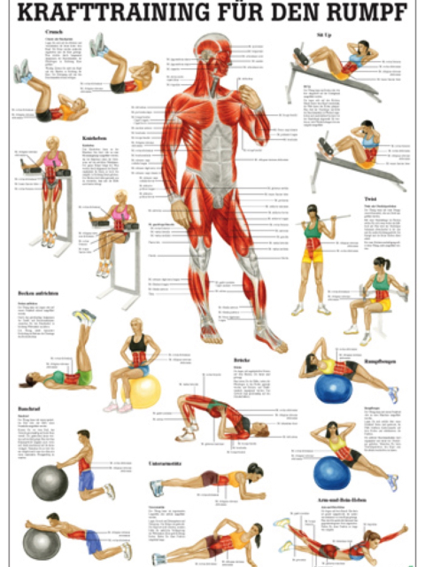 Krafttraining für den Rumpf, 24x34 cm