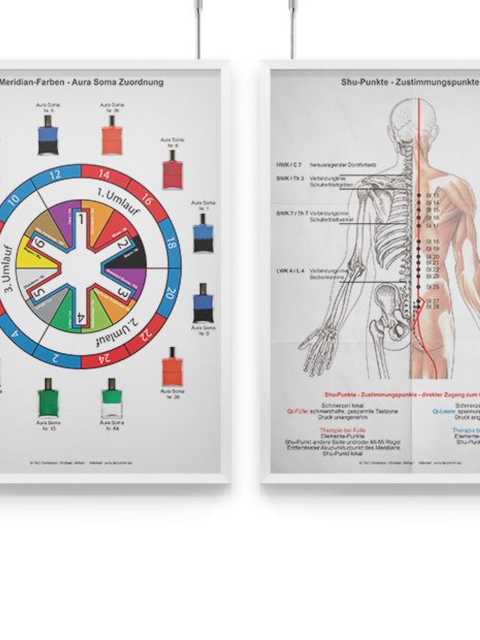 Lehrtafel Shu- / Zustimmungspunkte und Meridianfarben für die Akupunkt Meridian Massage