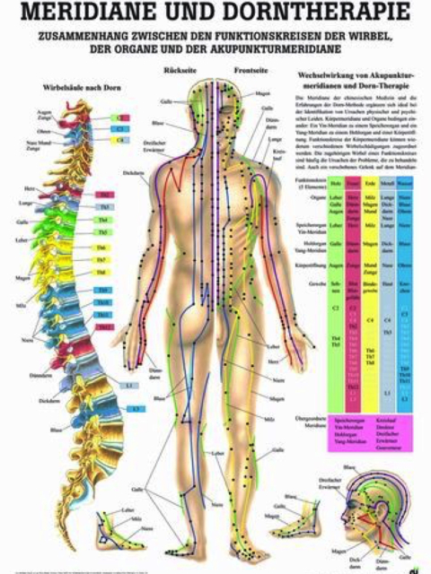 Mini-Poster - Meridiane und Dorn-Therapie