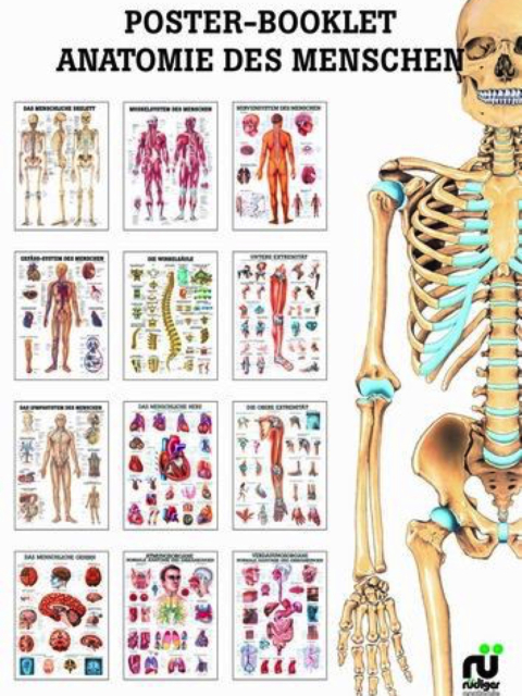 MIPO - Book 01 Anatomie