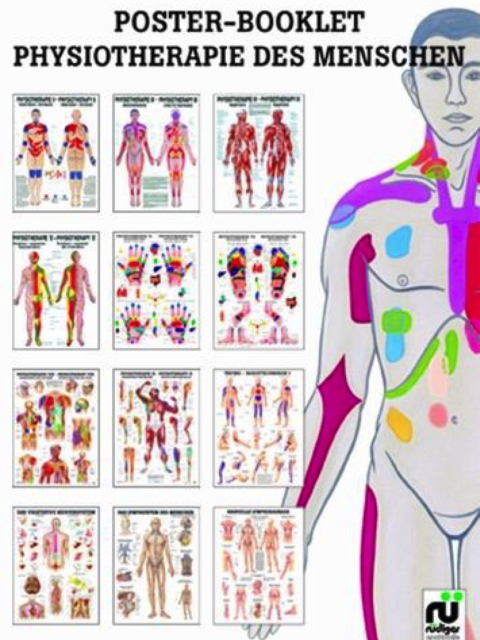 MIPO - Book 04 Physiotherapie