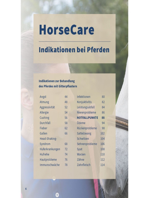 Gitterpflaster für Pferd und Reiter