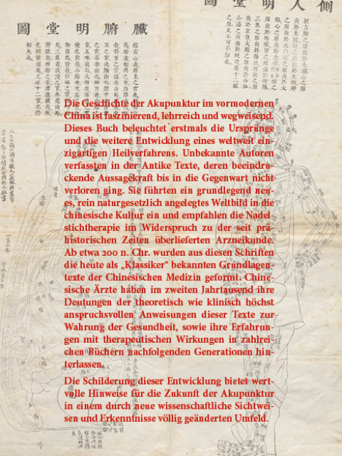 Geschichte der Akupunktur in China. Theorie und Praxis von der Antike bis in das frühe 20. Jahrhundert