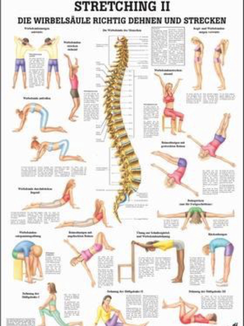 Mini-Poster - Stretching II