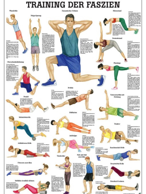 Training der Faszien, 70 x 100 cm, laminiert