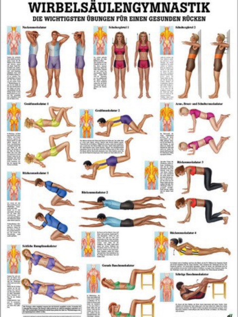 Lehrtafel Wirbelsäulengymnastik, 70 x 100 cm
