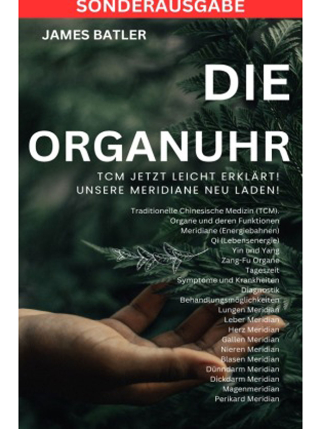 Die Organuhr - TCM Jetzt leicht erklärt!