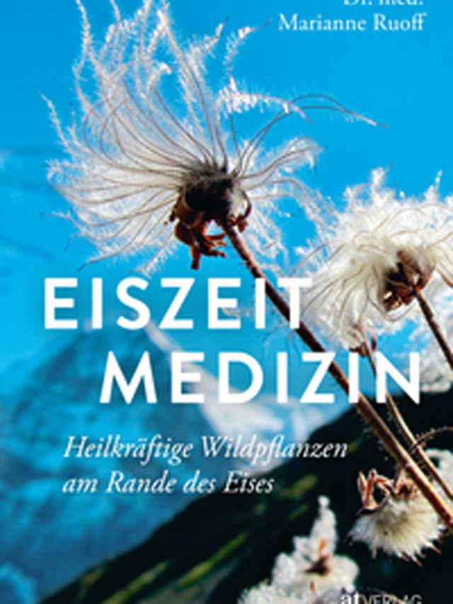 Eiszeitmedizin