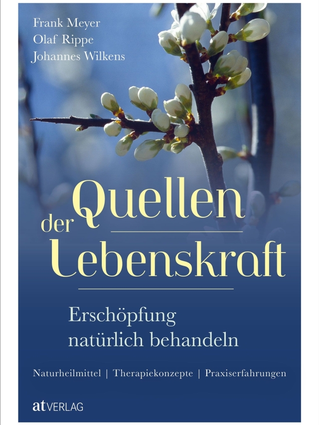 Quellen der Lebenskraft Erschöpfung natürlich behandeln: Naturheilmittel, Therapiekonzepte, Praxiserfahrungen