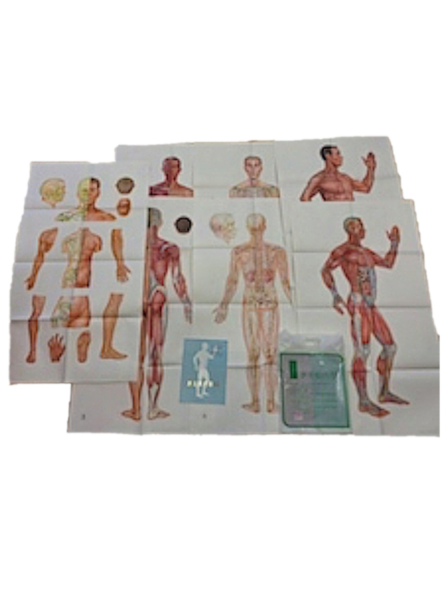 Charts of Acupuncture Points and Meridians. Chinese Edition. Wandkarten der Akupunkturpunkte und Meridiane