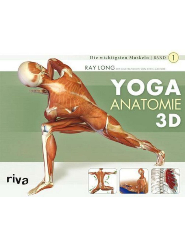 Yoga-Anatomie 3D Yoga-Anatomie 3D