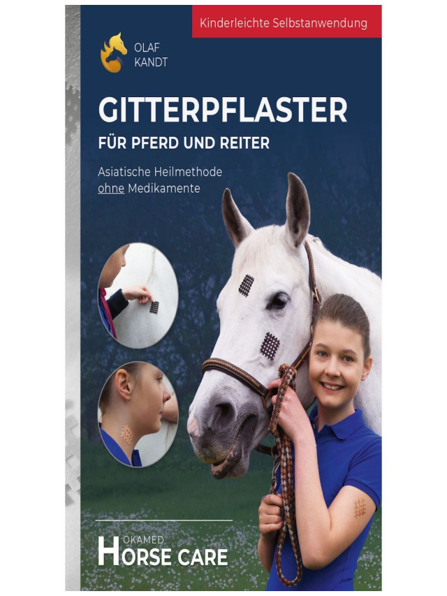 Gitterpflaster für Pferd und Reiter