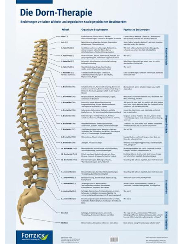 Poster Die Dorn-Therapie