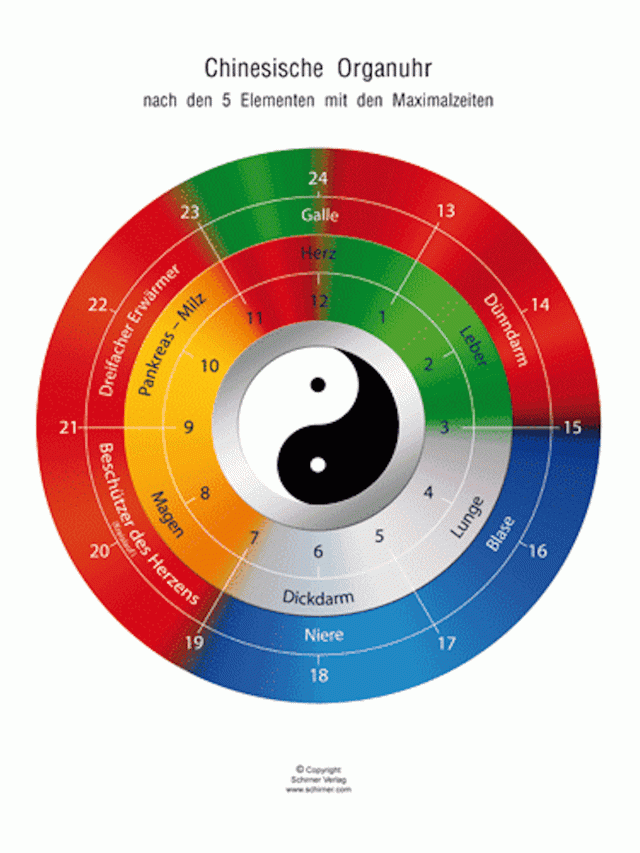 Chinesische Organuhr, DIN A4 laminiert