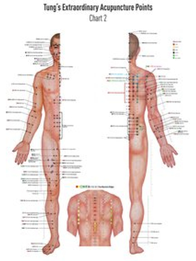 Akupunkturtafel Chart 2 TUNG's Extraordinary Acupuncture Points on the regular channels