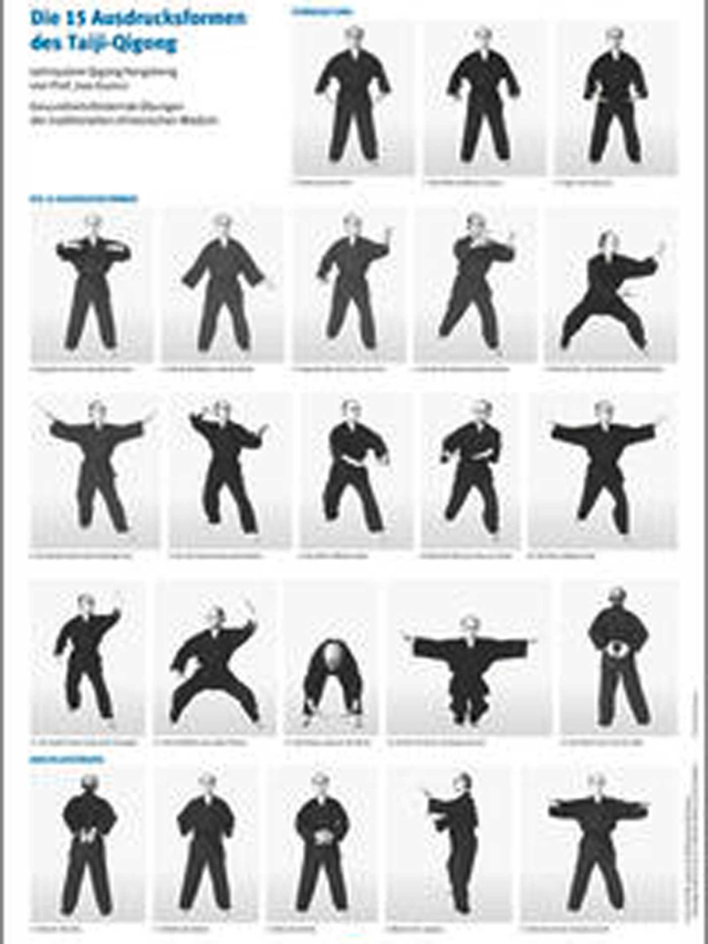 Die 15 Ausdrucksformen des Taiji Qigong Poster