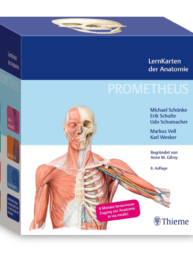 PROMETHEUS LernKarten der Anatomie