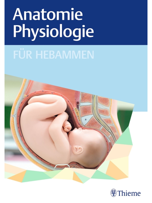 Anatomie und Physiologie für Hebammen