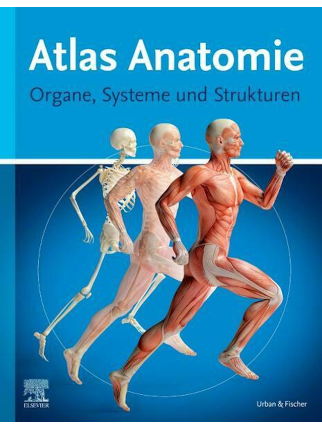 Atlas Anatomie für Laien
