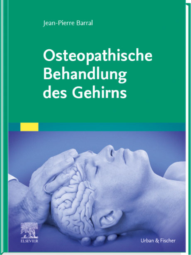 Osteopathische Behandlung des Gehirns