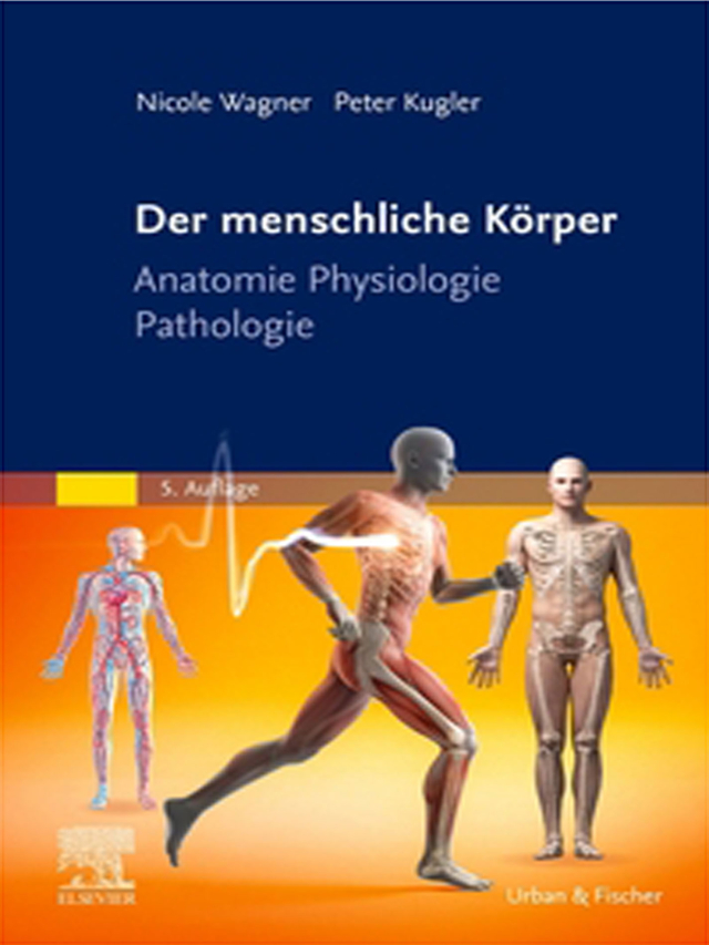 Der menschliche Körper. Anatomie Physiologie Pathologie